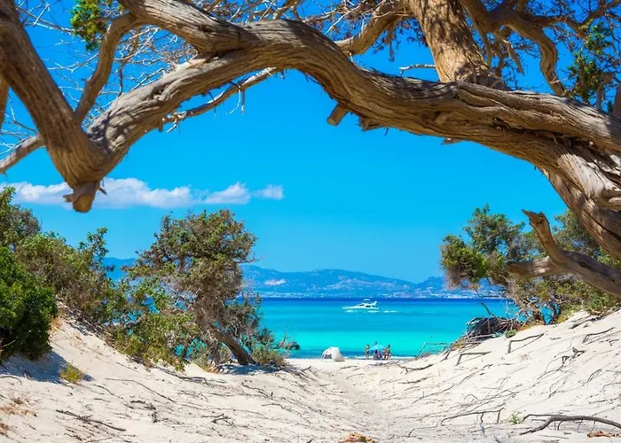 Clicksardegna Miral With Private Parking * 阿尔盖罗